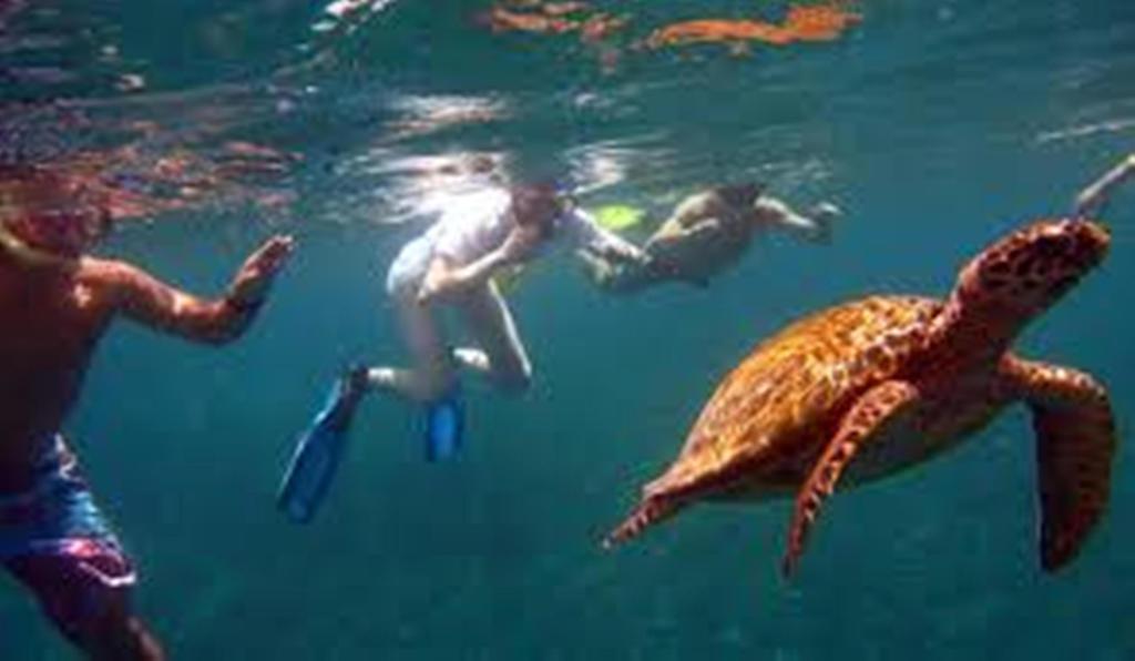 Kiayazo Otel Gili Trawangan Dış mekan fotoğraf